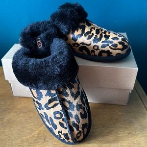 New in Box Scuffette II Slippers